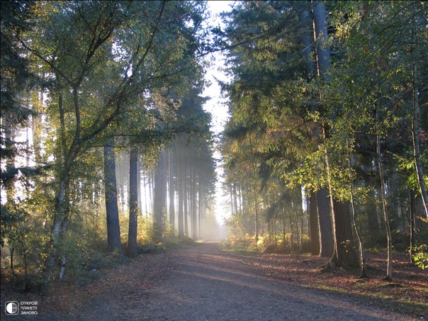 Запретный лес Место съемок: Black Park, Iver Heath, Buckinghamshir